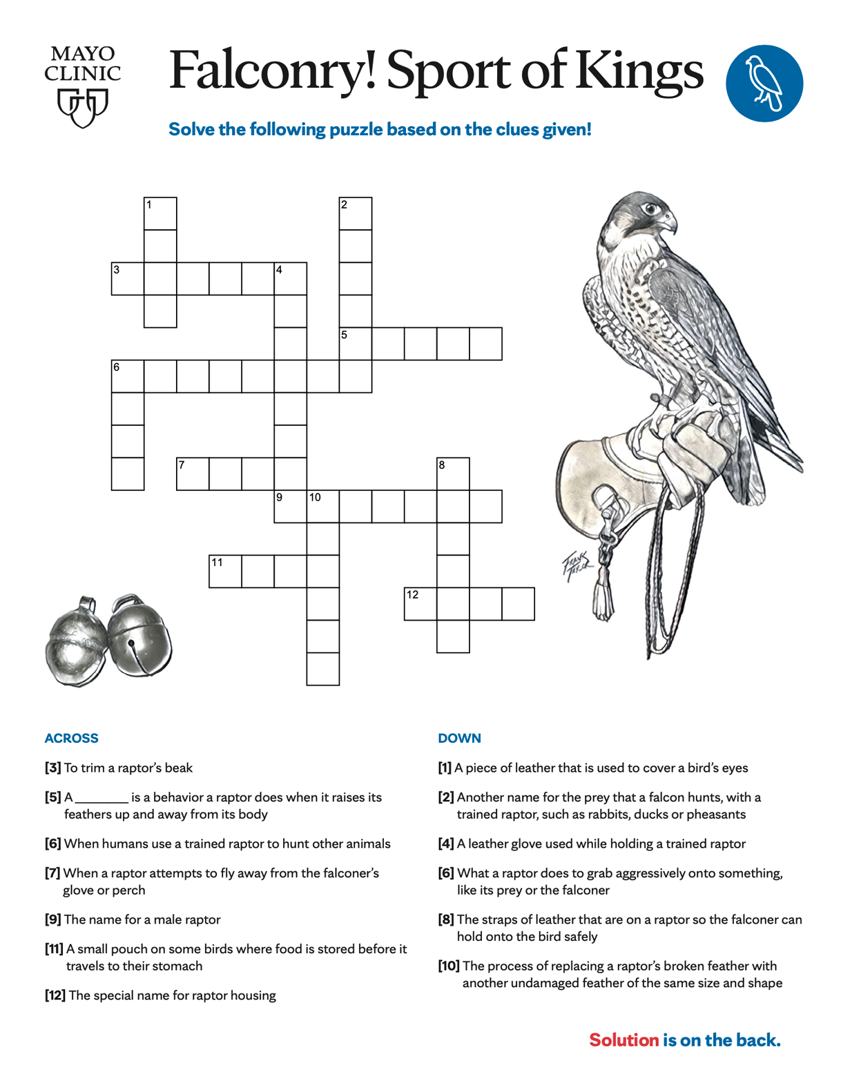 Falcon Crossword Puzzles